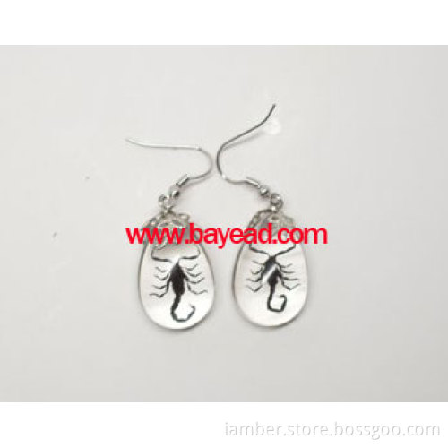 real insect earring,amber earring,bug earring